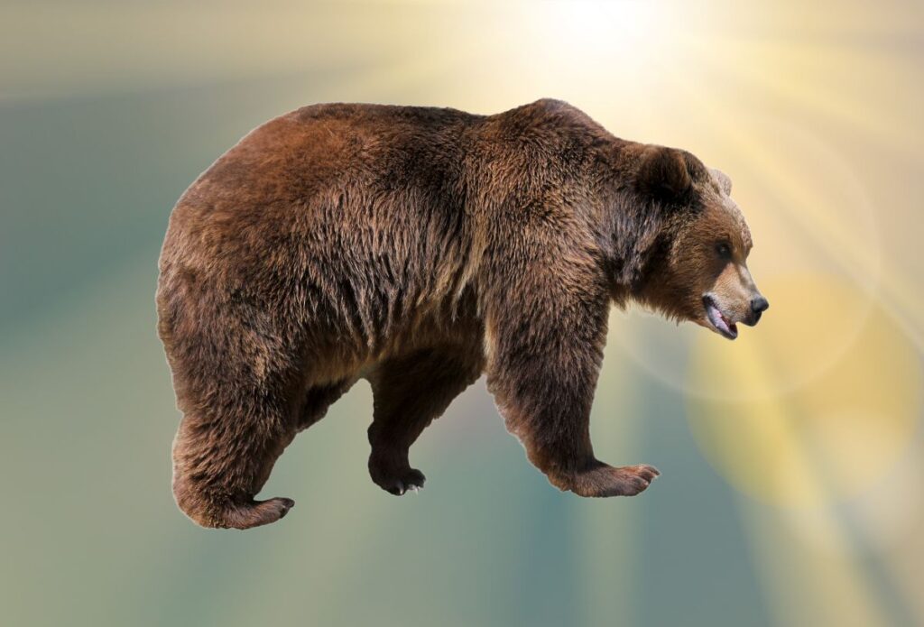 Animals That Symbolize Strength